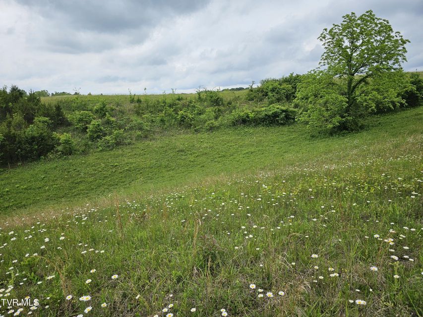 Photo #25: 000 Highway 66 