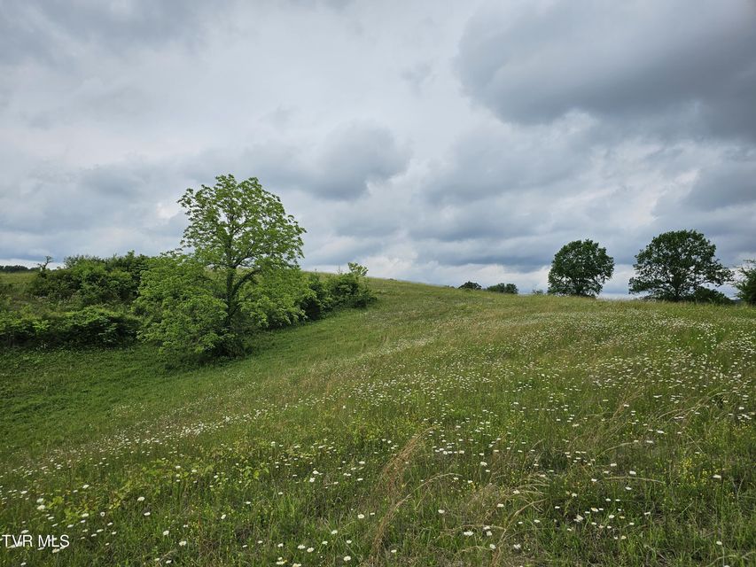 Photo #26: 000 Highway 66 