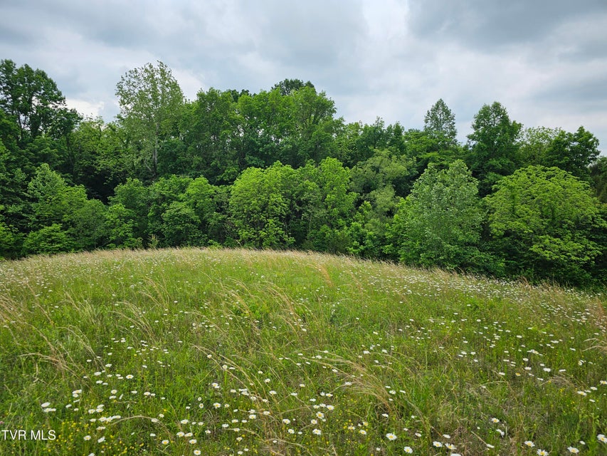 Photo #27: 000 Highway 66 