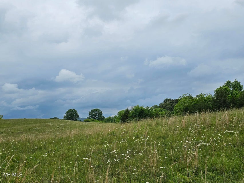 Photo #30: 000 Highway 66 