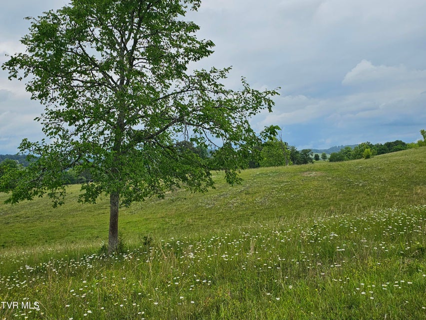 Photo #31: 000 Highway 66 