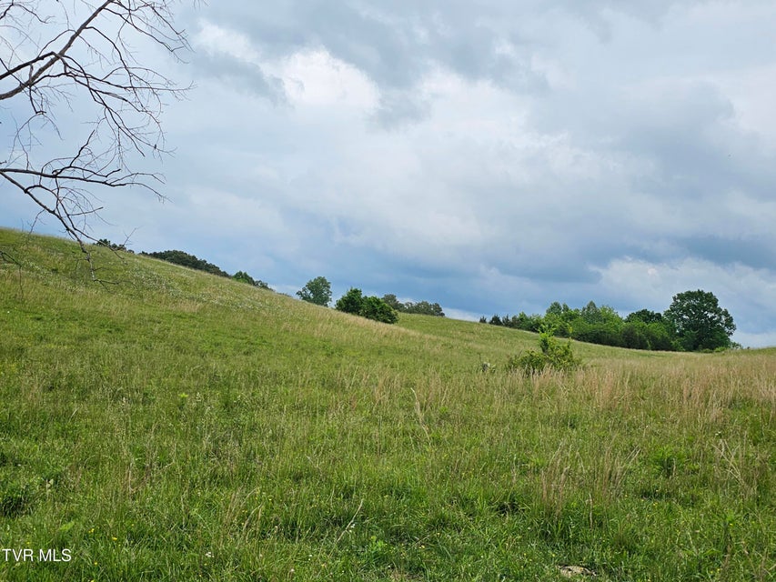 Photo #32: 000 Highway 66 