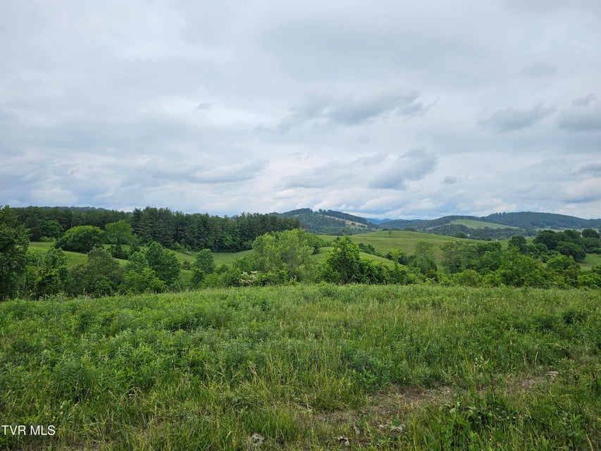 Photo #33: 000 Highway 66 