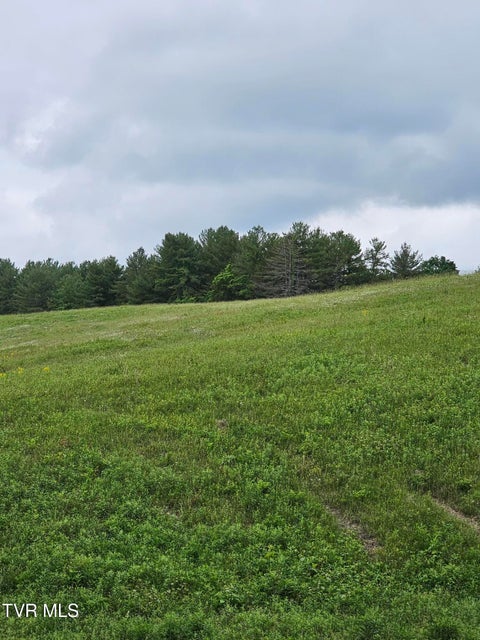 Photo #13: 000 Highway 66 