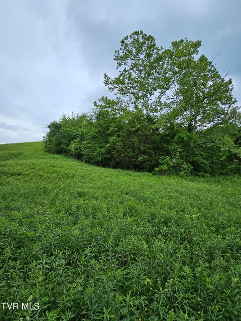 Photo #20: 000 Highway 66 