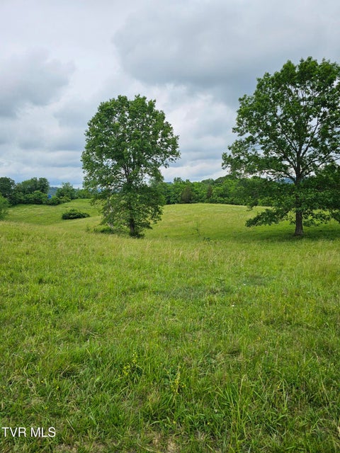 Photo #28: 000 Highway 66 