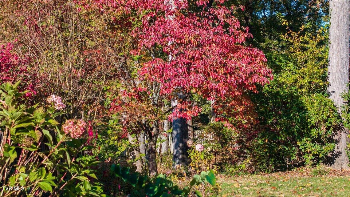 Photo #66: 1707 Fairway Drive