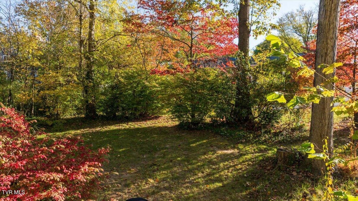 Photo #68: 1707 Fairway Drive