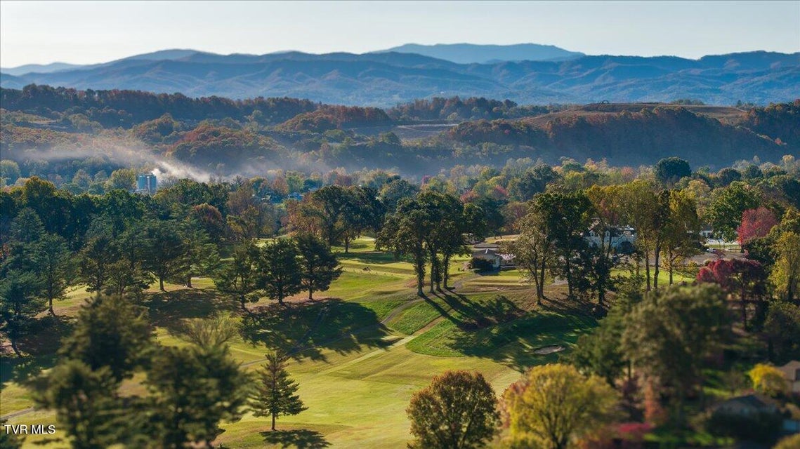 Photo #73: 1707 Fairway Drive