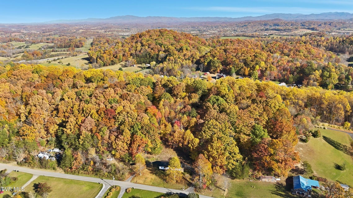 Photo #38: 458 Possum Hollow Road