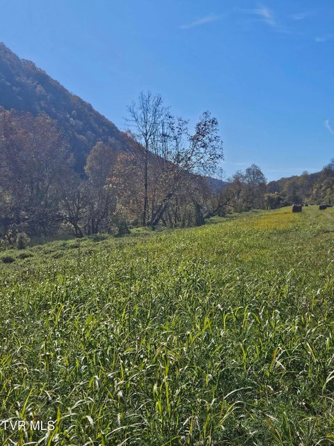 Photo #12: 0 Anglers Way Road