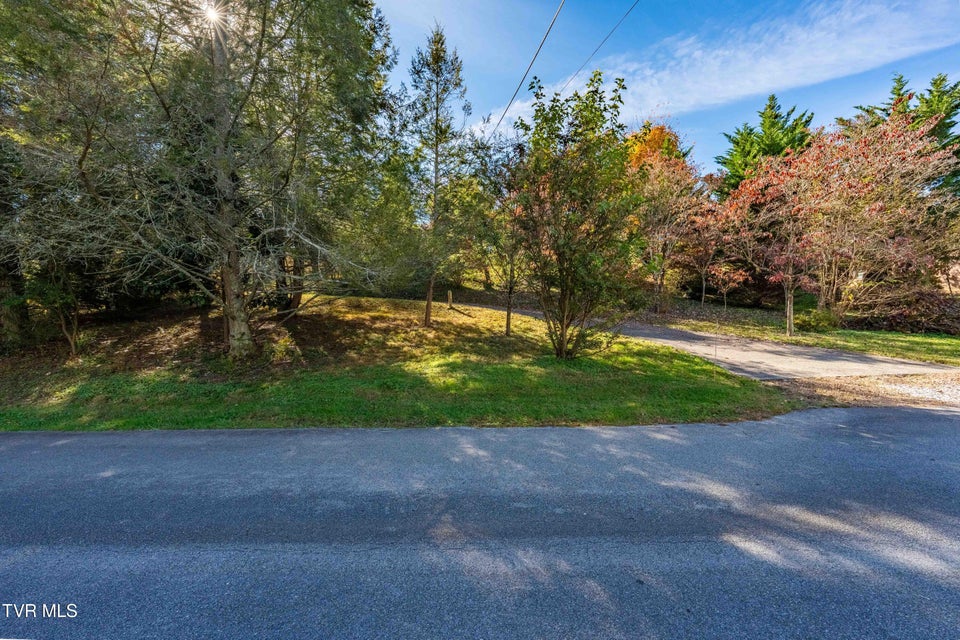 Photo #40: 313 Milburn Avenue