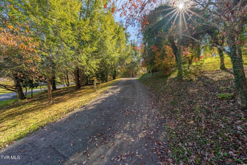 Photo #41: 313 Milburn Avenue