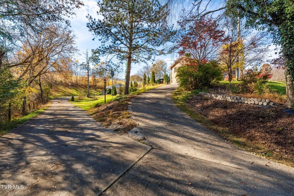 Photo #42: 313 Milburn Avenue