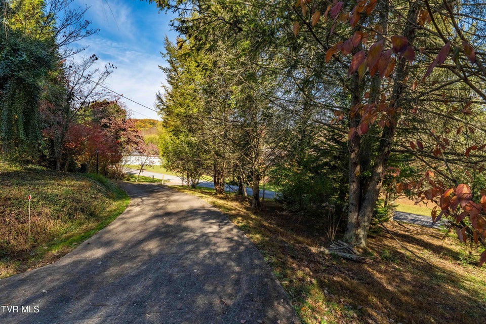 Photo #43: 313 Milburn Avenue