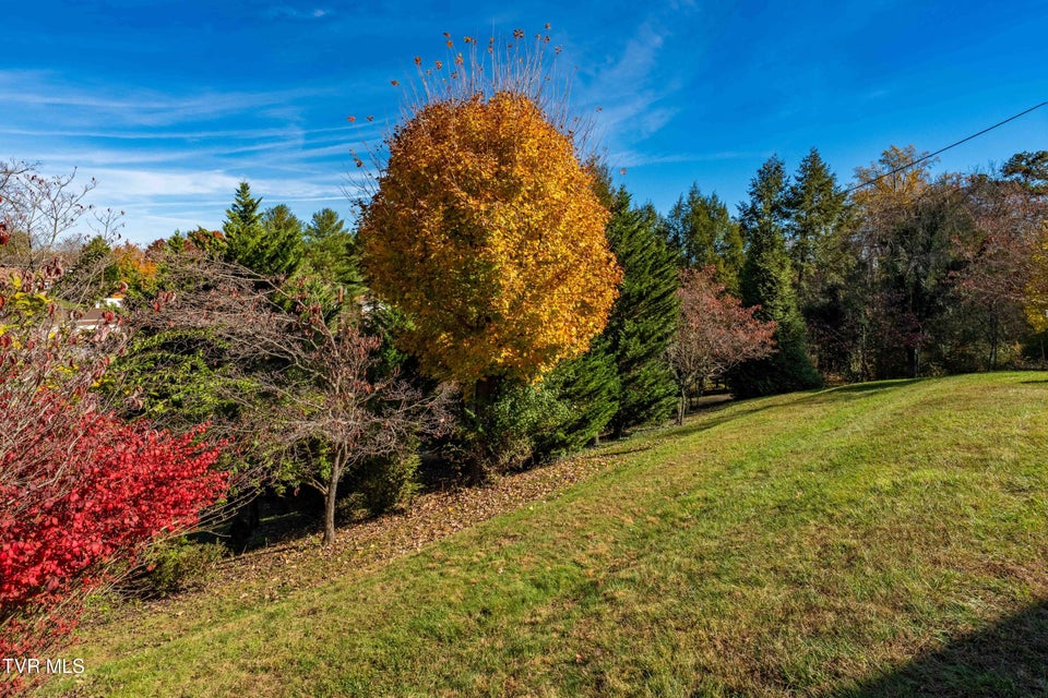 Photo #46: 313 Milburn Avenue