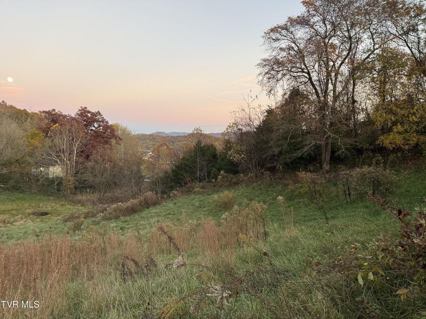 Photo #76: 121 Clark Drive