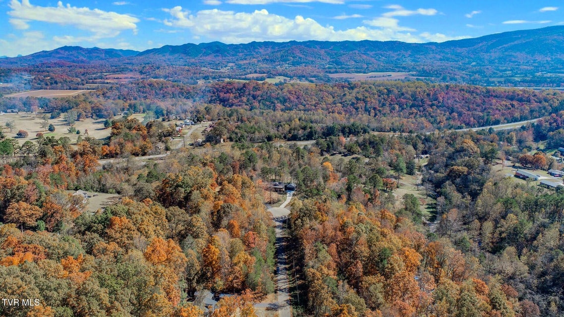 Photo #2: 1413 Timber Trail 