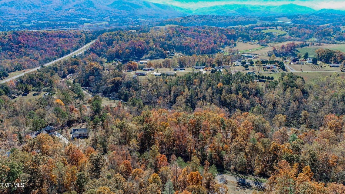 Photo #3: 1413 Timber Trail 