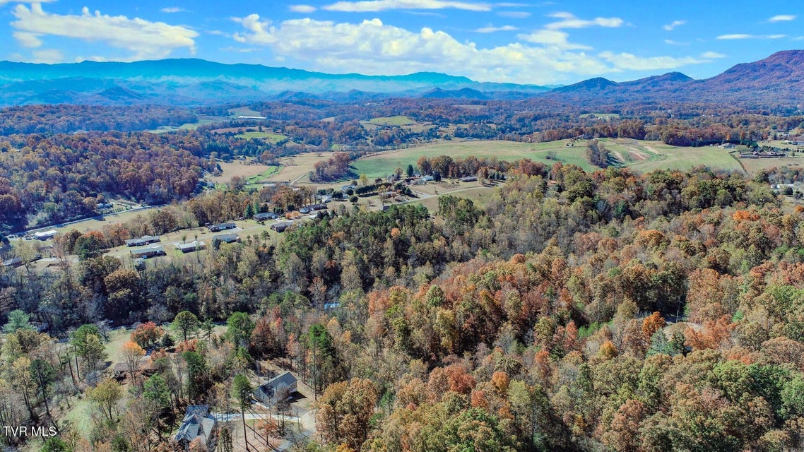 Photo #4: 1413 Timber Trail 