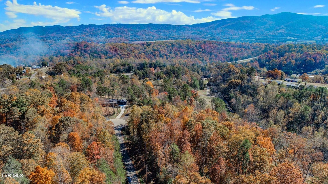 Photo #6: 1413 Timber Trail 