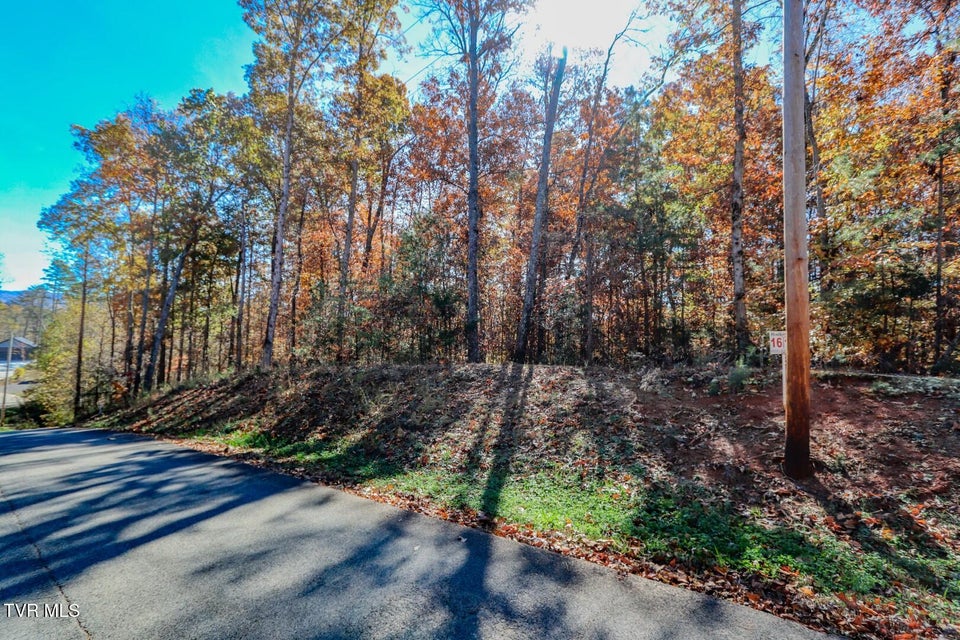 Photo #12: 1413 Timber Trail 