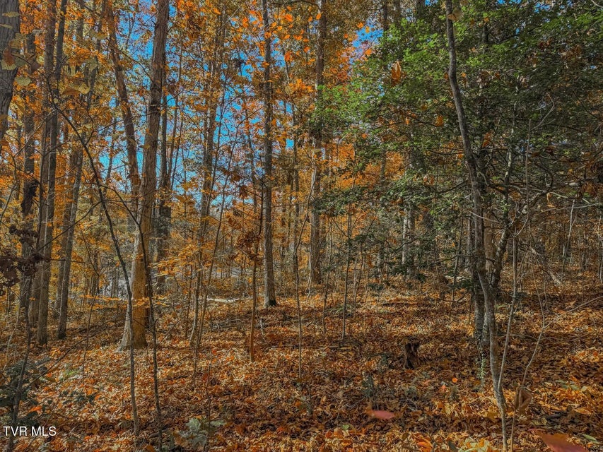 Photo #24: 1413 Timber Trail 