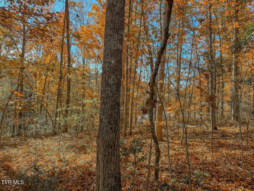 Photo #27: 1413 Timber Trail 