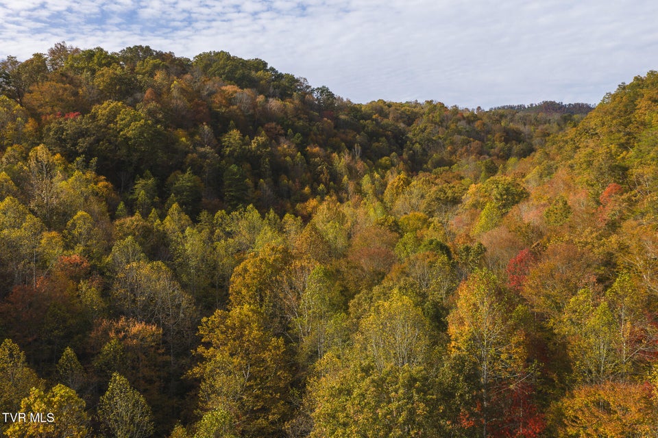 Photo #23: 1619 Lynn Flanary Road