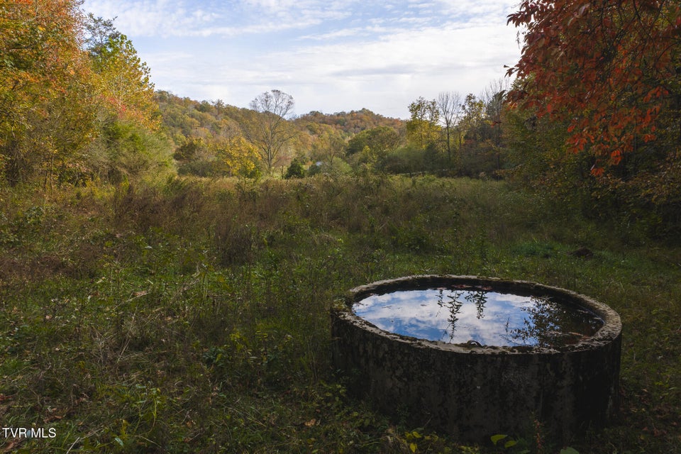 Photo #29: 1619 Lynn Flanary Road