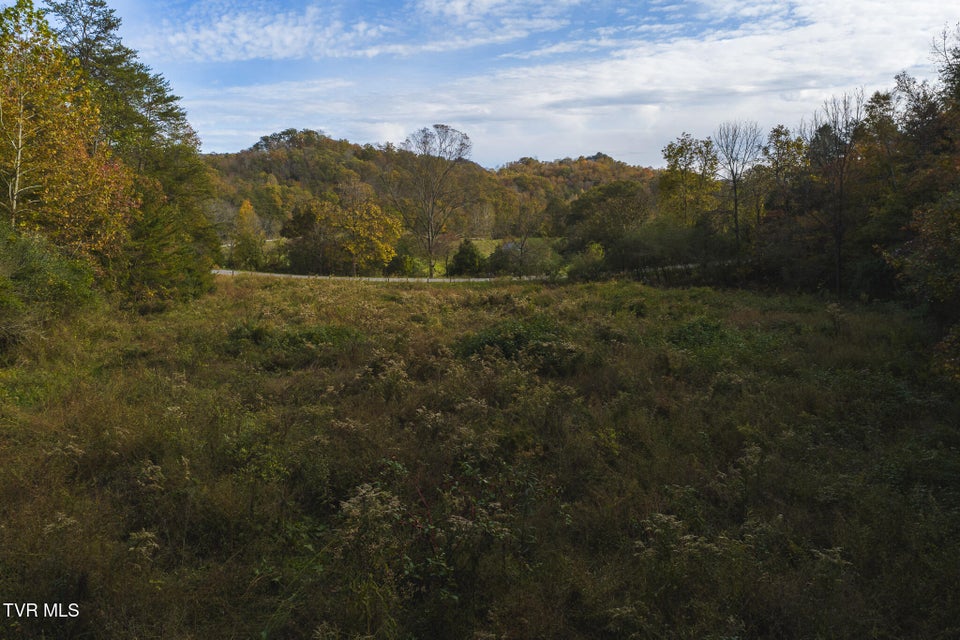 Photo #30: 1619 Lynn Flanary Road