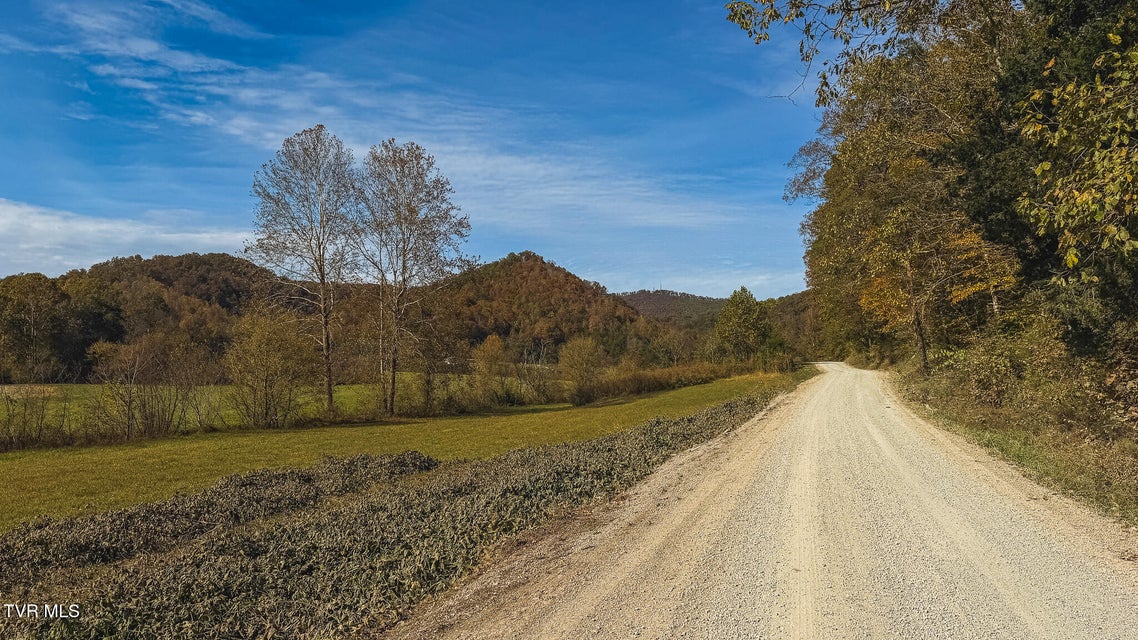 Photo #36: 1619 Lynn Flanary Road