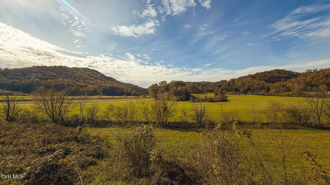 Photo #39: 1619 Lynn Flanary Road