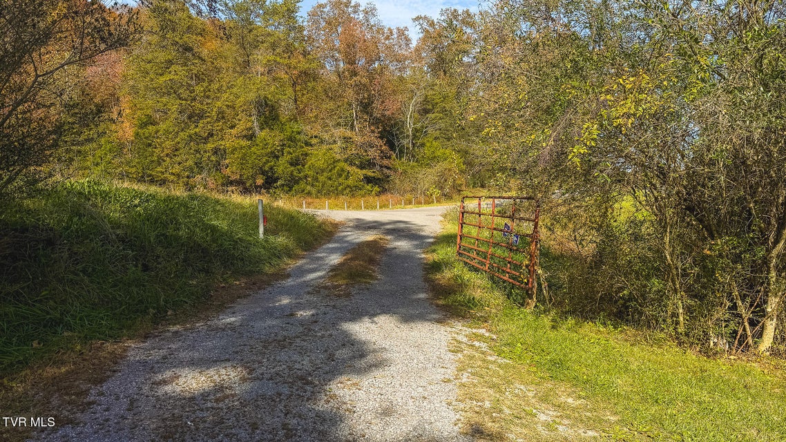 Photo #41: 1619 Lynn Flanary Road