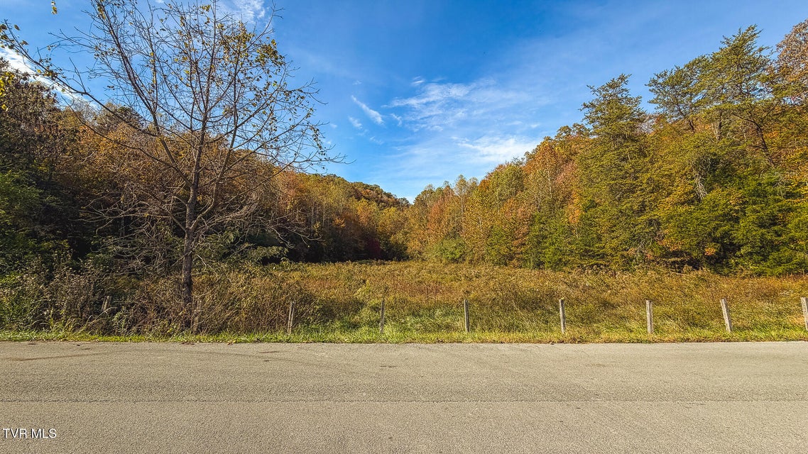 Photo #43: 1619 Lynn Flanary Road