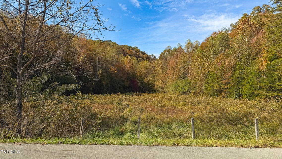 Photo #44: 1619 Lynn Flanary Road