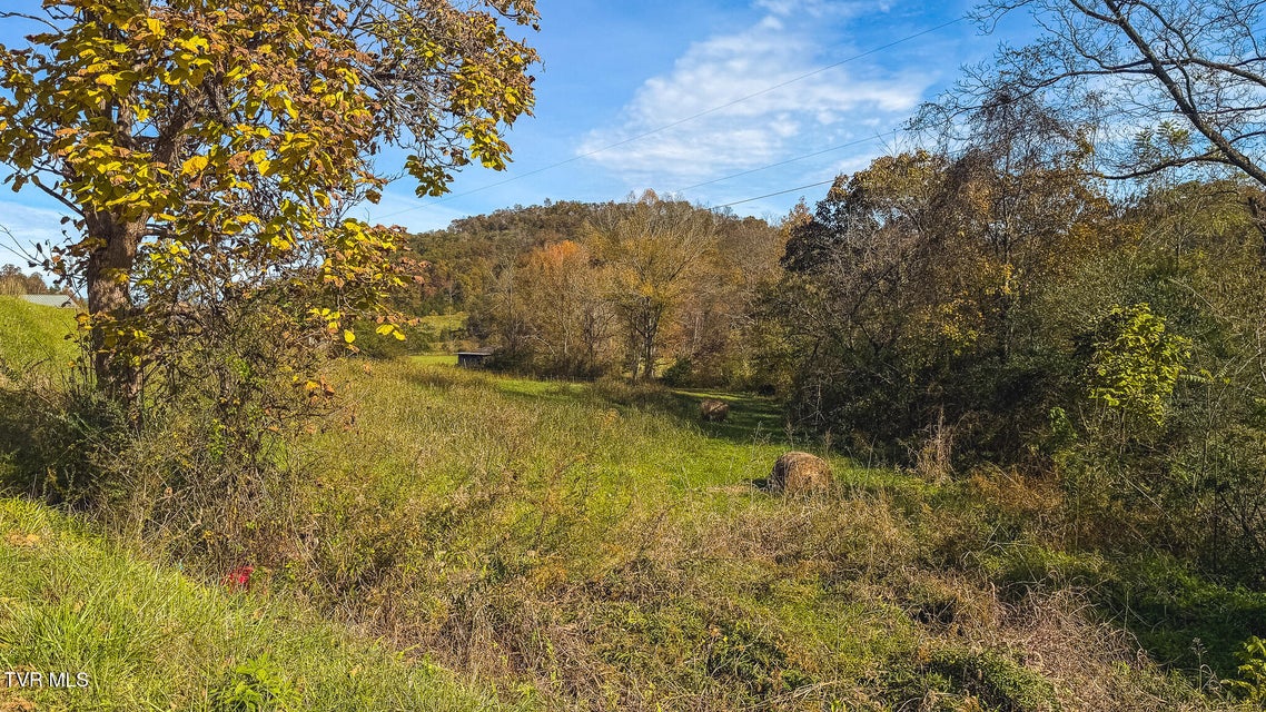 Photo #47: 1619 Lynn Flanary Road