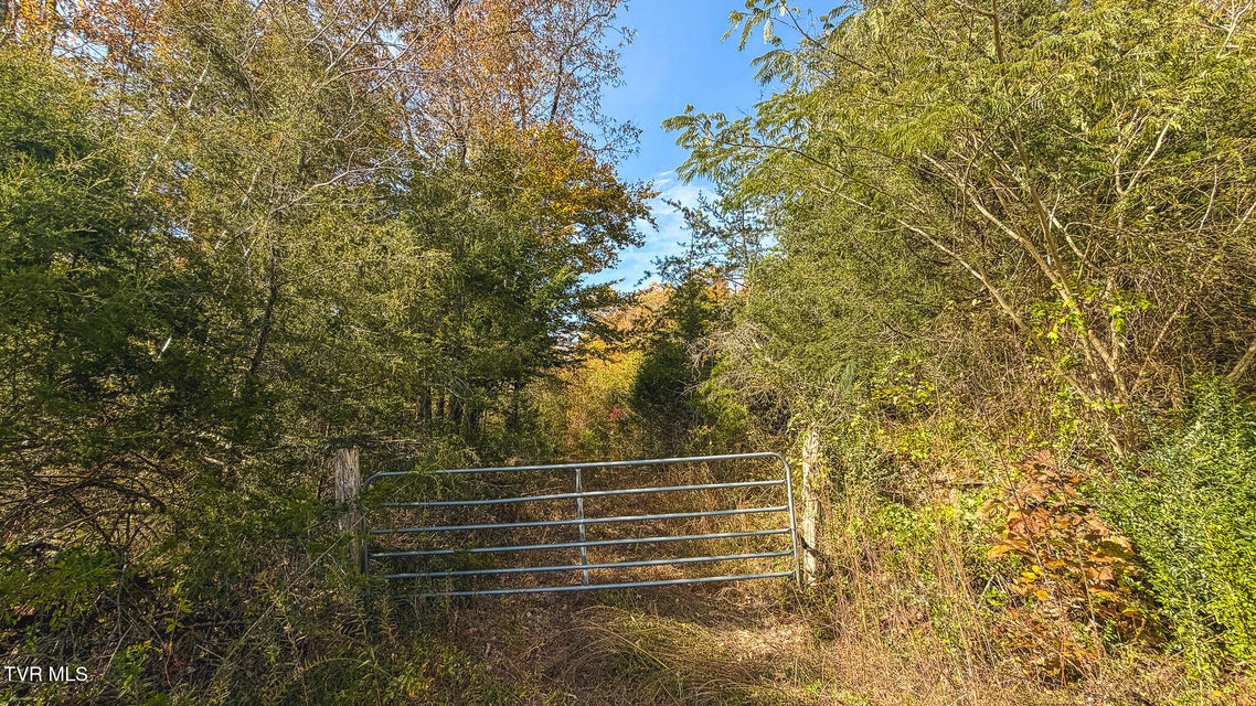 Photo #48: 1619 Lynn Flanary Road