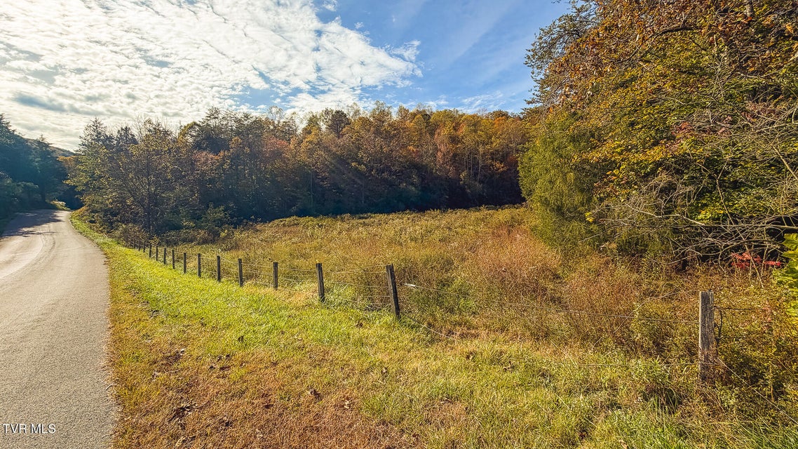 Photo #51: 1619 Lynn Flanary Road