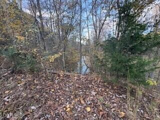 Photo #4: 250 Pendleton Road