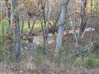 Photo #6: 250 Pendleton Road