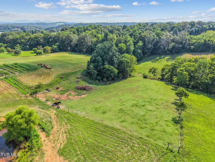 Photo #12: 6.24 Ac Bright Hope Road