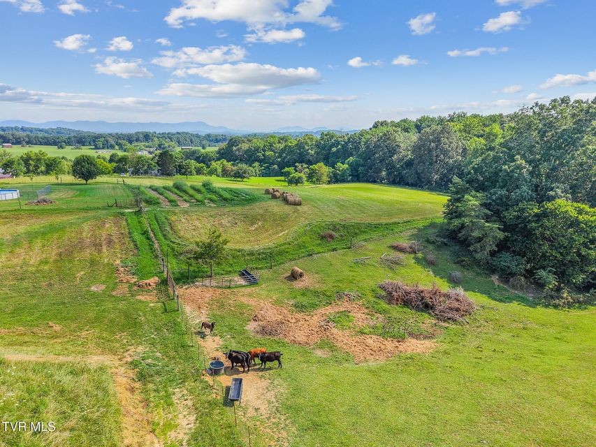 Photo #13: 6.24 Ac Bright Hope Road