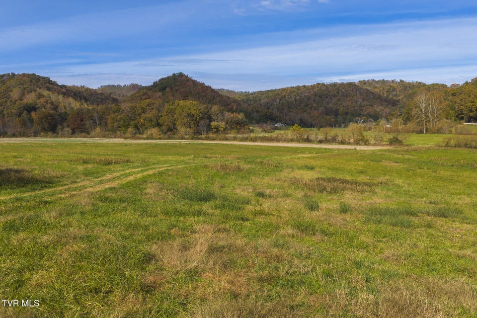 Photo #11: 684 Panther Road