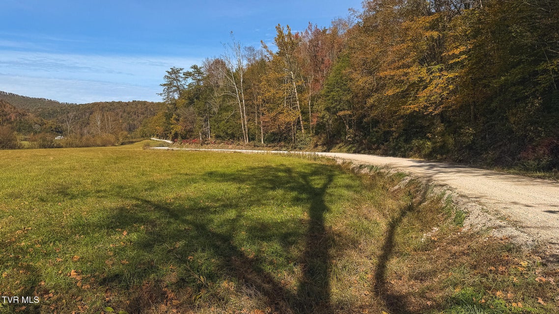 Photo #28: 684 Panther Road