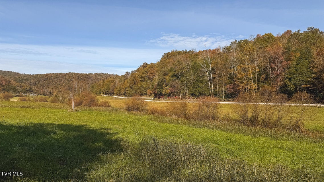 Photo #33: 684 Panther Road