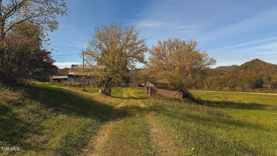 Photo #37: 684 Panther Road