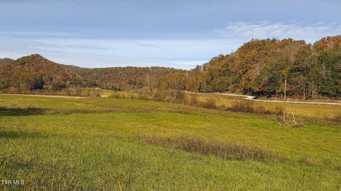 Photo #38: 684 Panther Road