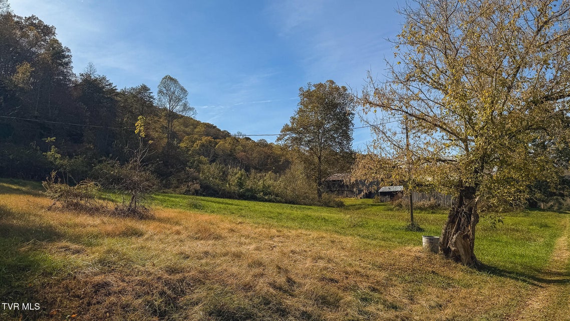 Photo #39: 684 Panther Road