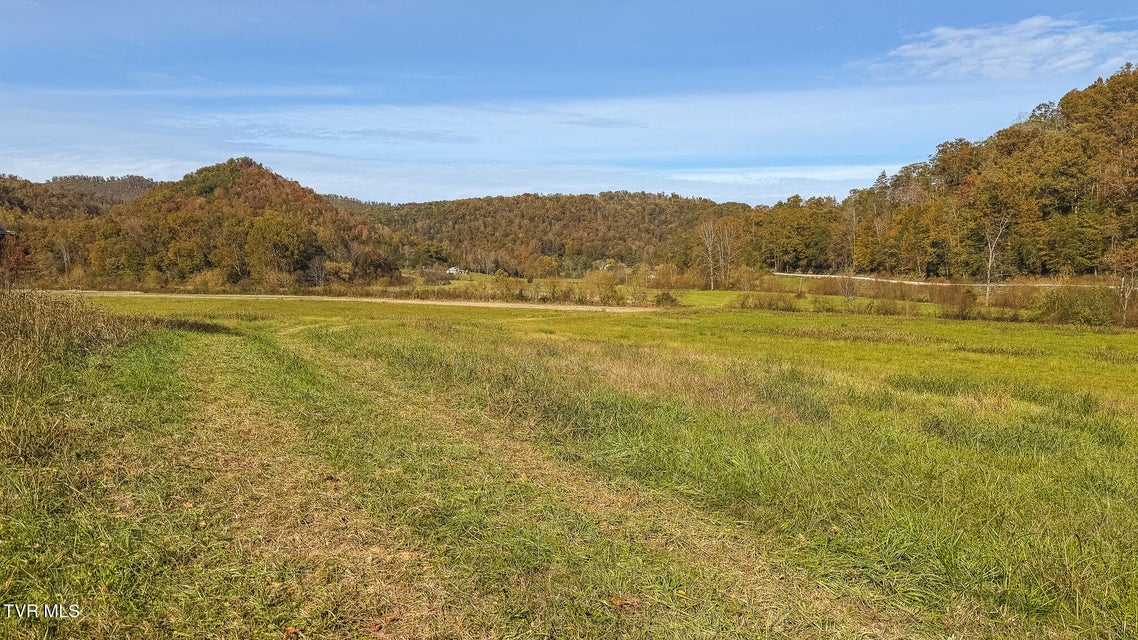 Photo #44: 684 Panther Road